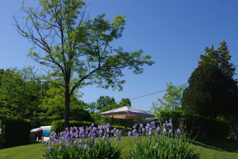 Kanopée Village - Bild 7