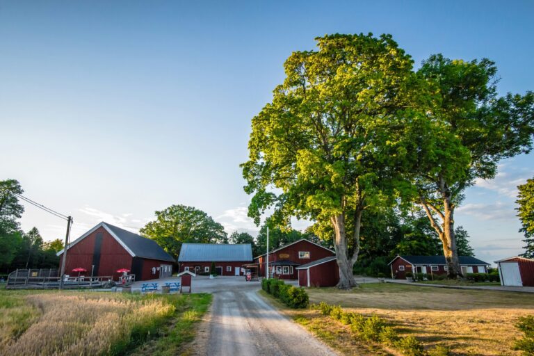 Kerstins Camping - Bild 12