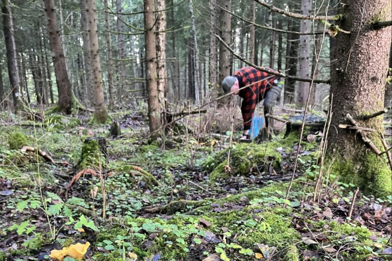 Kerstins Camping - Bild 15