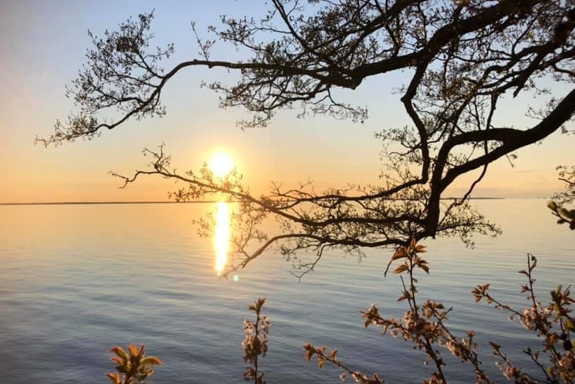 Kinnekulle Camping & Stugby - Bild 11 Kinnekulle Camping & Stugby - Bild 11