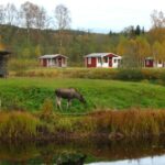 Klarälvens Camping - Bild 8