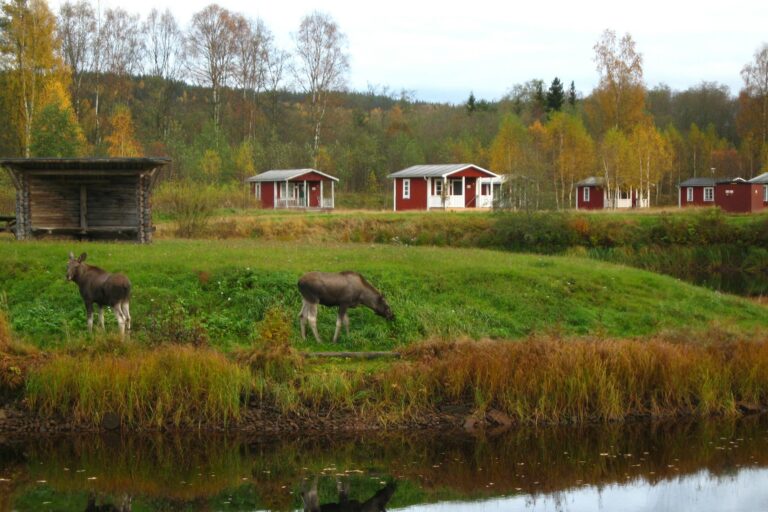 Klarälvens Camping - Bild 8