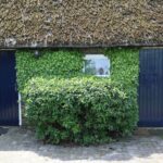 Kleine Camping De Duin - Bild 10