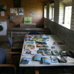 Kleine Camping De Duin - Bild 11