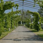 Knaus Campingpark Bad Dürkheim - Bild 4