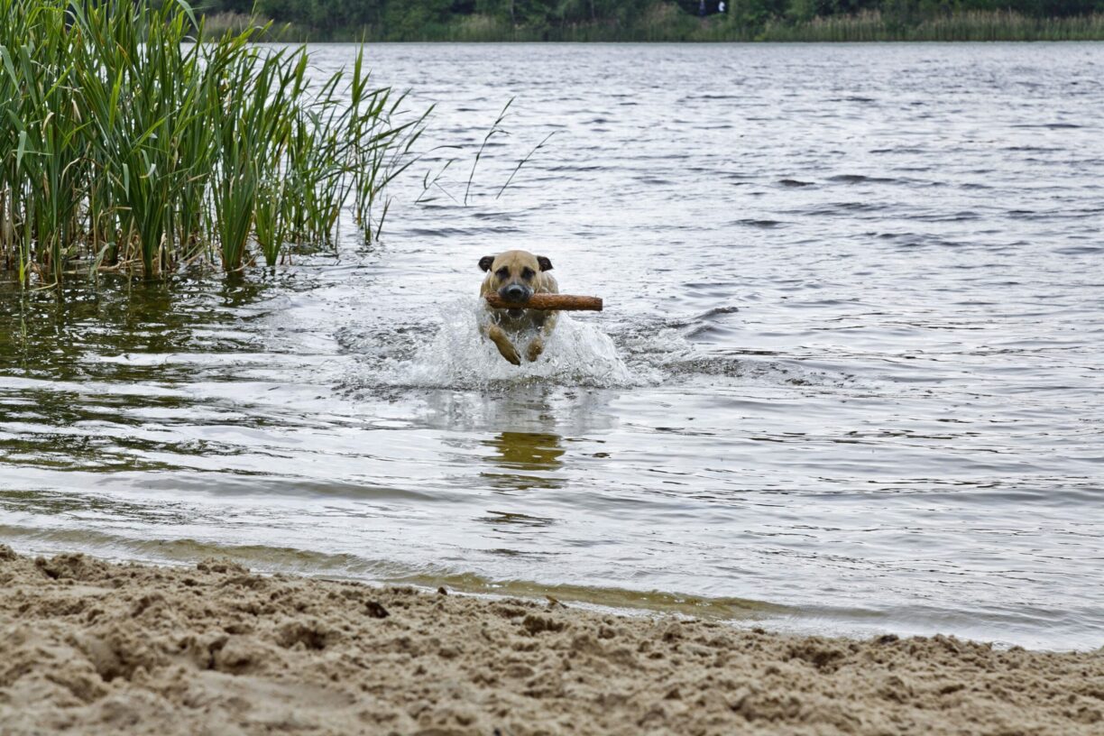 Knaus Campingpark Oyten/bremen - Bild 5 Knaus Campingpark Oyten/bremen - Bild 5