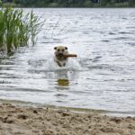 Knaus Campingpark Oyten/bremen - Bild 5 Knaus Campingpark Oyten/bremen - Bild 5