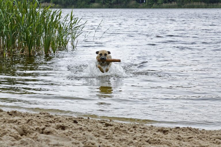 Knaus Campingpark Oyten/bremen - Bild 5 Knaus Campingpark Oyten/bremen - Bild 5