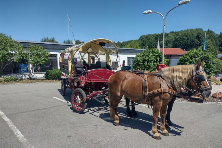 Knaus Campingpark Viechtach - Bild 12