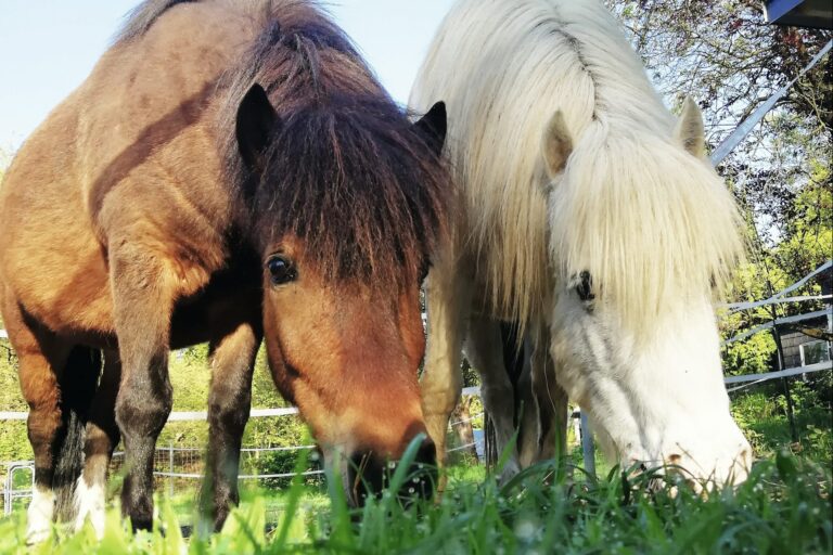 Knaus Campingpark Wingst - Bild 11