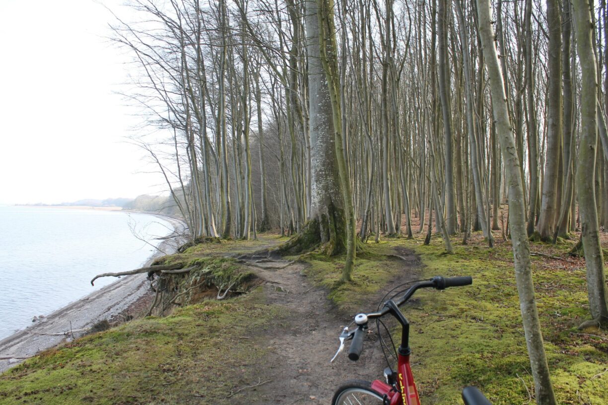 Købingsmark-strand-camping - Bild 11 Købingsmark-strand-camping - Bild 11