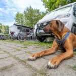 Komfortcamping Senftenberger See - Bild 10