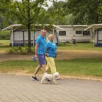 Komfortcamping Senftenberger See - Bild 3