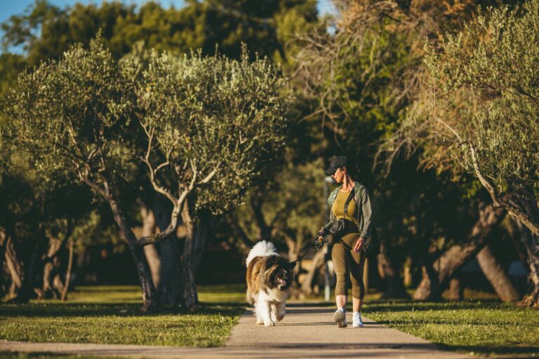 Koversada Covered Campsite - Bild 14