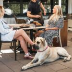 Kronocamping Lidköping - Bild 13