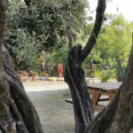 La Fontaine D'annibal - Bild 15