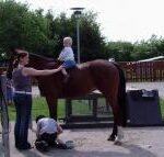 Lægårdens Camping - Bild 8