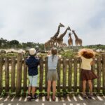 Lake Resort Beekse Bergen - Bild 9