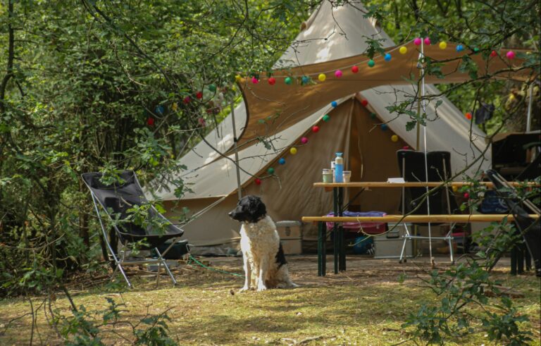 Landgoedcamping Het Meuleman - Bild 2
