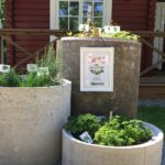 Långsjön Stugor & Camping - Bild 17