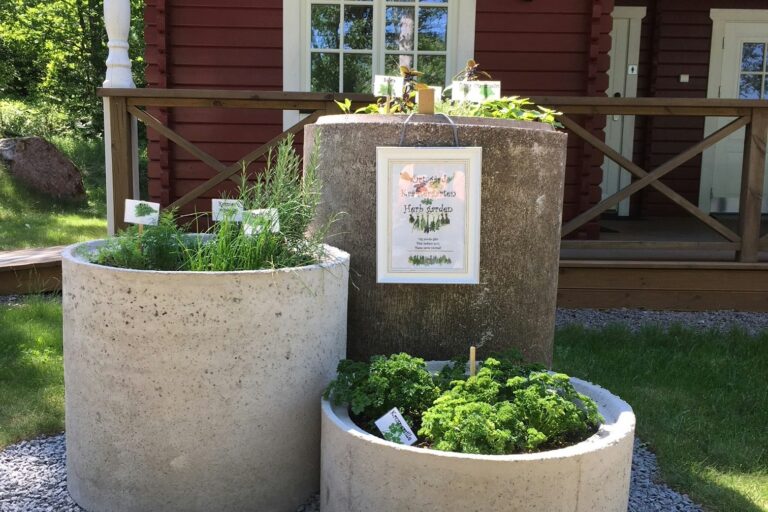 Långsjön Stugor & Camping - Bild 17