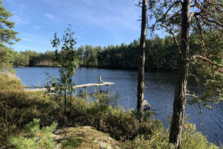 Långsjön Stugor & Camping - Bild 6