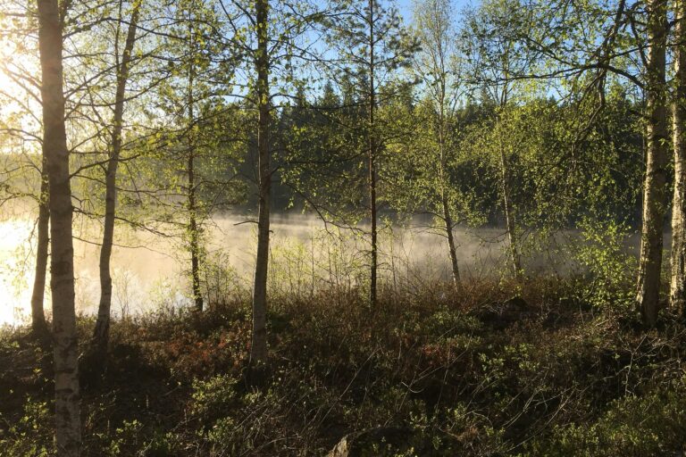 Långsjön Stugor & Camping - Bild 7