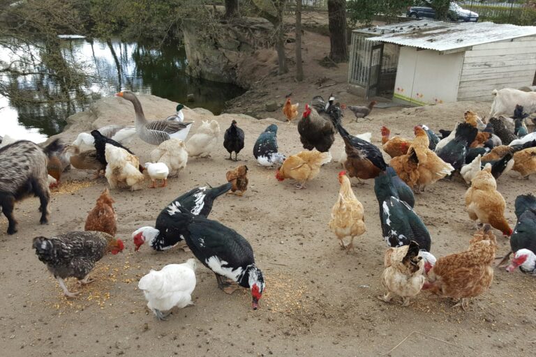 L'eden Camping - Bild 5