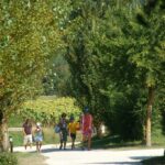 Le Camp De Florence - Bild 12