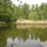 Le Cattiaux Camping - Bild 2