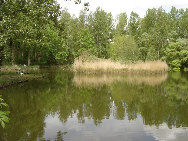 Le Cattiaux Camping - Bild 2