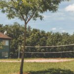 Le Domaine De Claire Rive - Bild 14