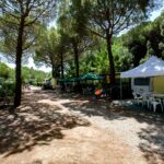 Le Gorette Cecina Easy Camping Village - Bild 2
