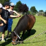 Le Hameau Des Genêts - Bild 7 Le Hameau Des Genêts - Bild 7