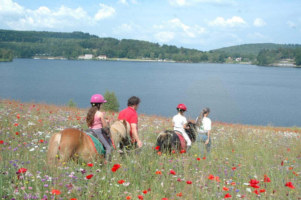 Le Village Des Monédières - Bild 4 Le Village Des Monédières - Bild 4