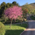 Le Village Des Sources - Bild 12 Le Village Des Sources - Bild 12