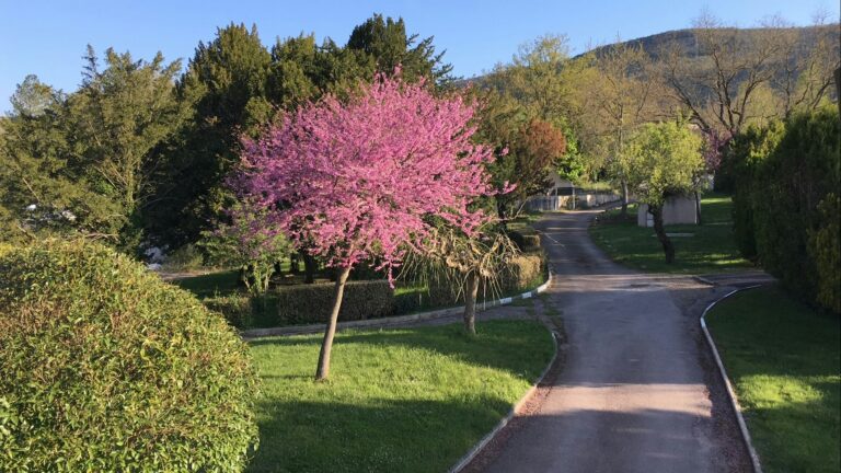 Le Village Des Sources - Bild 12 Le Village Des Sources - Bild 12