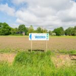 Lentemaheerd - Bild 13