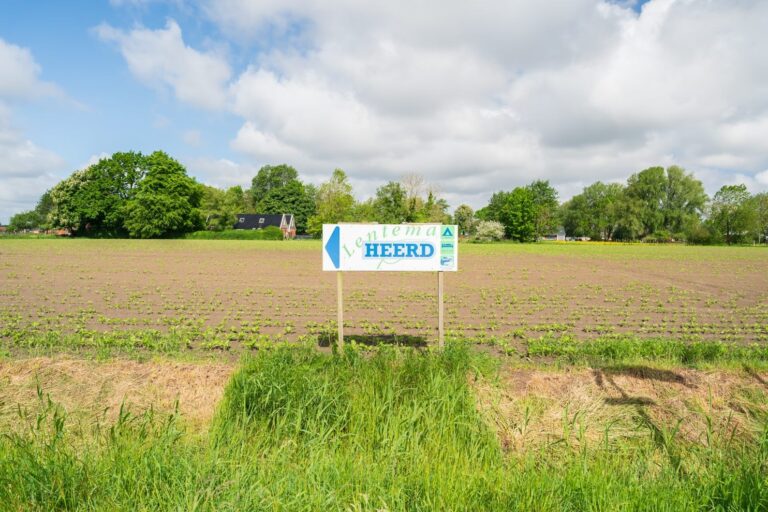 Lentemaheerd - Bild 13