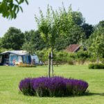 Lentemaheerd - Bild 14