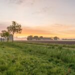 Lentemaheerd - Bild 5