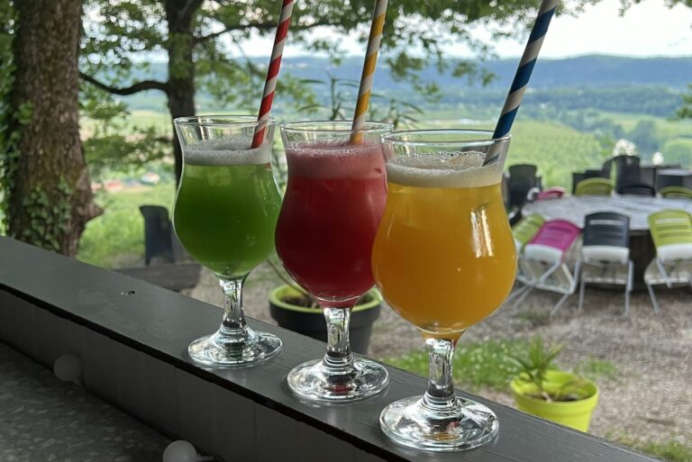 Les Bois De Prayssac - Bild 11 Les Bois De Prayssac - Bild 11