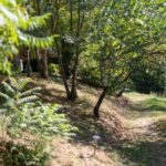 Les Chalets De La Gazonne - Bild 3