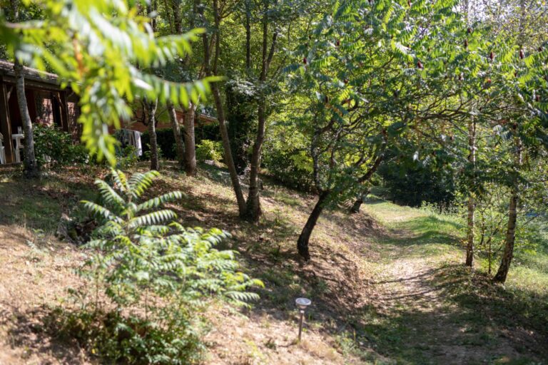 Les Chalets De La Gazonne - Bild 3