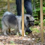 Ljuvadal Camping & Upplevelser - Bild 13