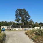 Lomma Camping - Bild 14