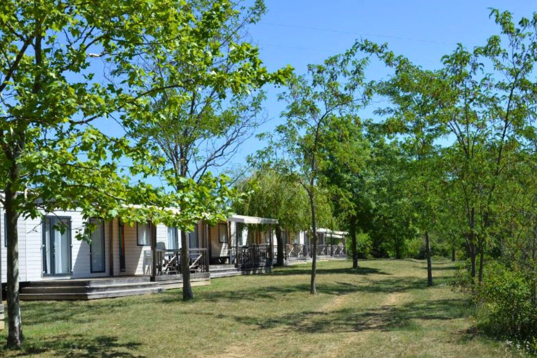 Ludo Camping - Bild 10 Ludo Camping - Bild 10