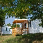 Ludo Camping - Bild 13 Ludo Camping - Bild 13