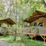 Ludo Camping - Bild 15 Ludo Camping - Bild 15