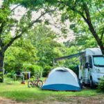 Ludo Camping - Bild 6 Ludo Camping - Bild 6